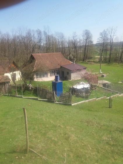Casa cu teren foarte mare in Halmagiu - 10