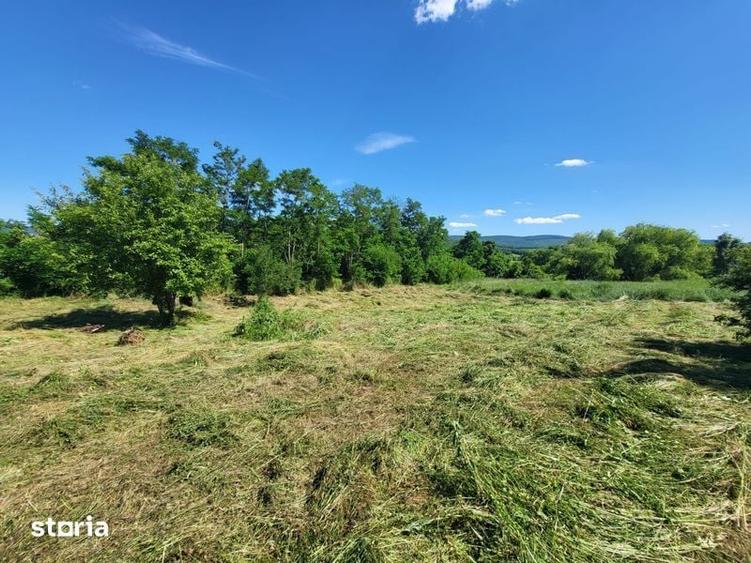 Direct proprietar Vand teren ciurea - 5