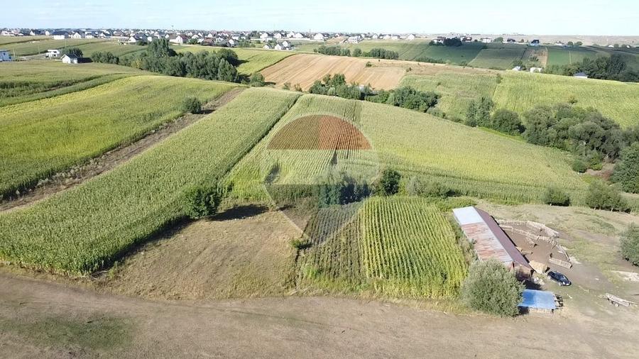 Teren agricol intravilan de 4400 mp, în Moara