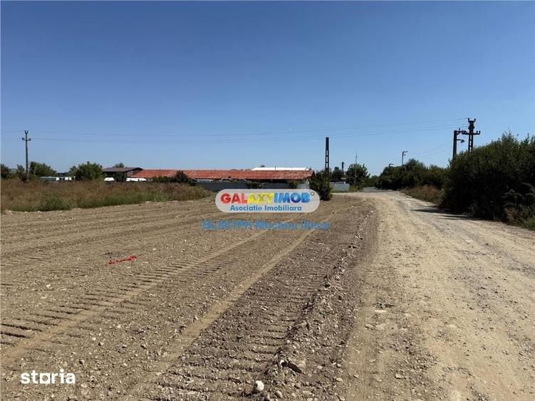 Teren de 2960 mp, în Lipănești