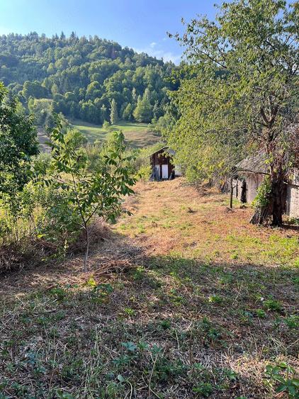 Teren de 1522 mp, în Ceahlău
