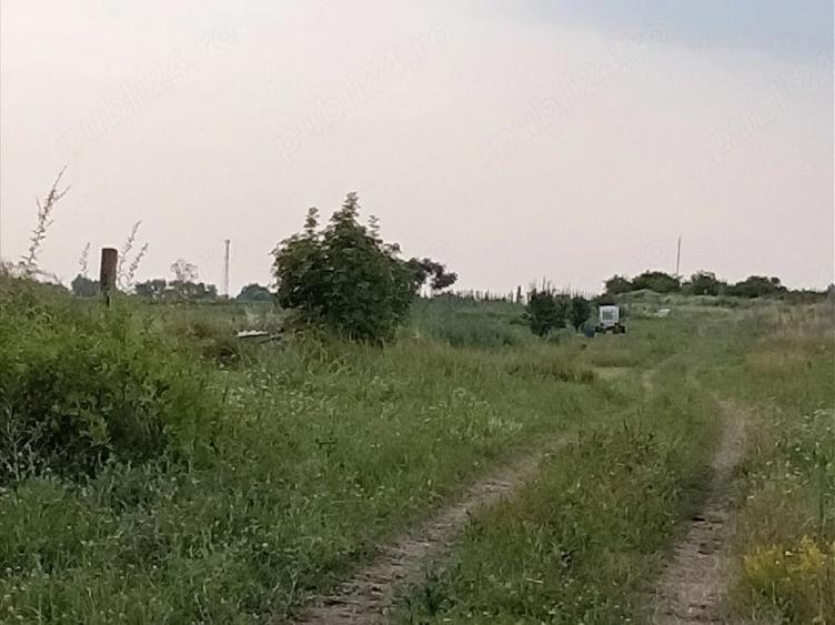 Teren Extravilan 2.900 mp in Jud. Timi? Deschidere la DRUMUL PRINCIPAL | Curent peste drum - 4