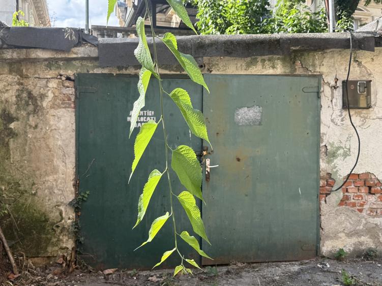 Proprietate specială, de 29 mp, în Ultracentral