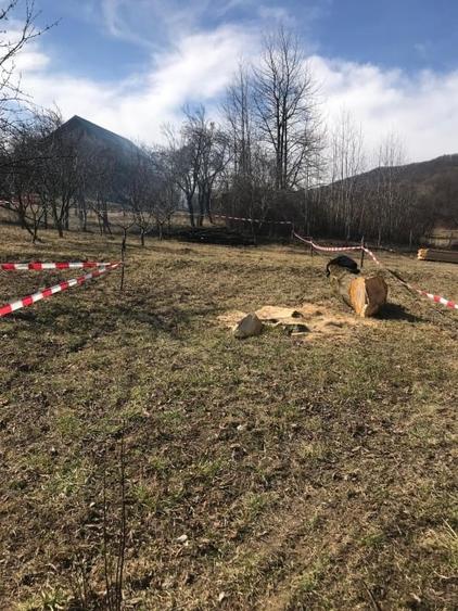 Teren Construcții intravilan de 715 mp, în Olănești