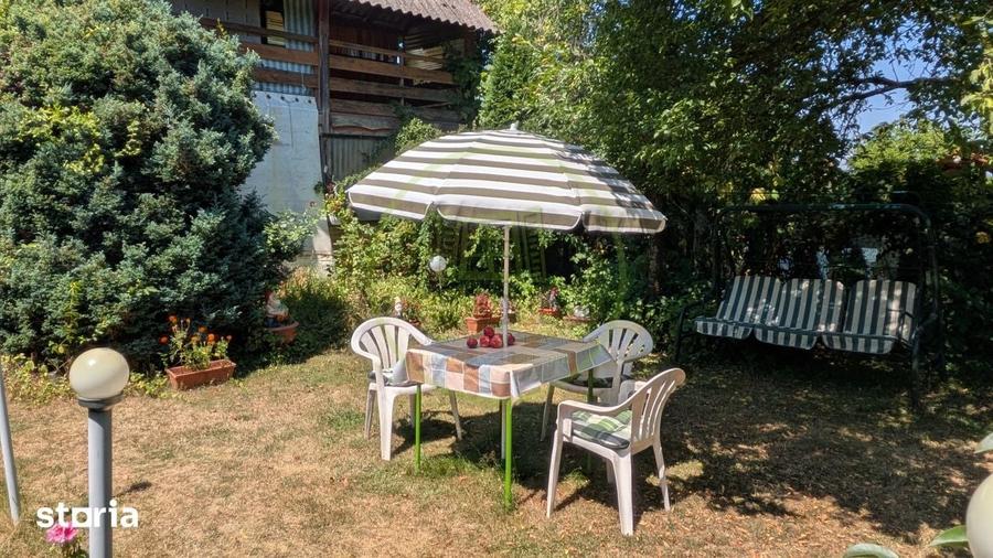 Teren intravilan cu poveste la Tocile - 1100 mp cu livada, cabana + ru - 17