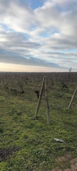 Teren en Slobozia Bradului de 12.600 mp intravilan,intabulat - 6