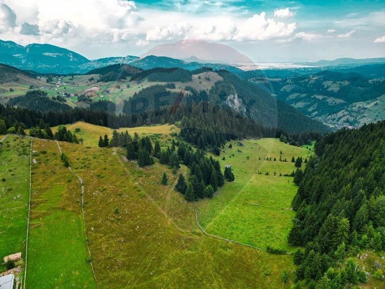 Teren de 7830mp de vanzare in Fundata! Comision 0% - 27