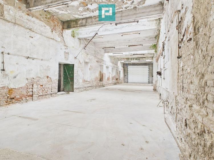 Hala 120 mp pentru depozitare în Periam - 2