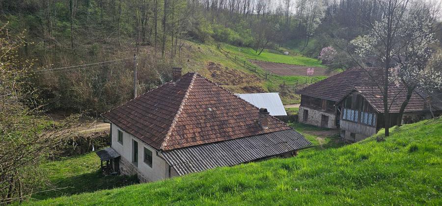 Vand casa cu gradina + padure + teren arabil - 7