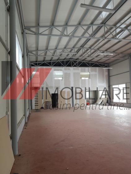 Caransebes Sp com Su-300 mp S teren 3000-15.000 mp FS-40ml - 3