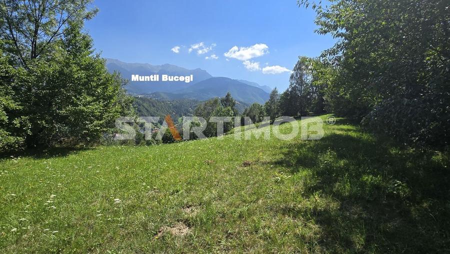 Teren extravilan Bran Podul Simonului - 3