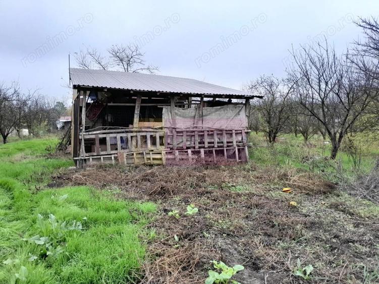 BARCANESTI - casa +curte+teren 16k mp - 10