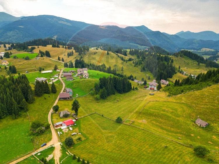 Teren de 7830mp de vanzare in Fundata! Comision 0% - 31