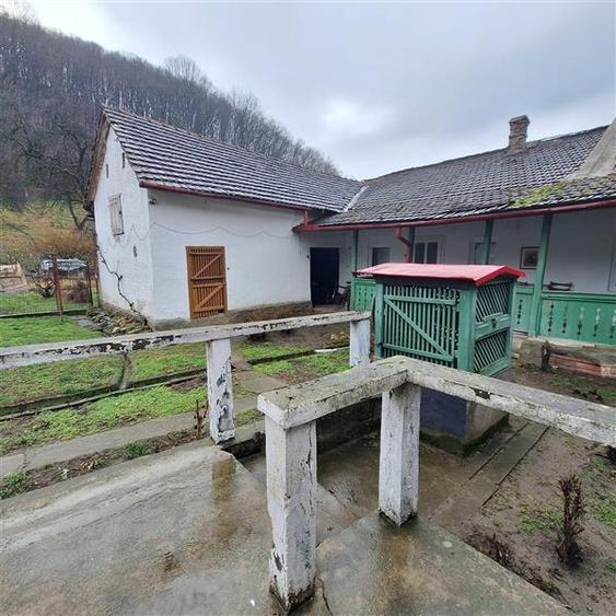 Bocsa Montana, Casa mare la strada principala - 7