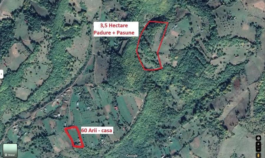 CASA-teren-PADURE-pasune Parva, jud BN - 6