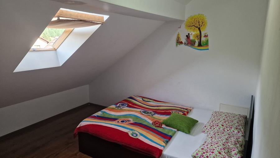 De Vanzare Pensiune-10 camere Voroneț - 10