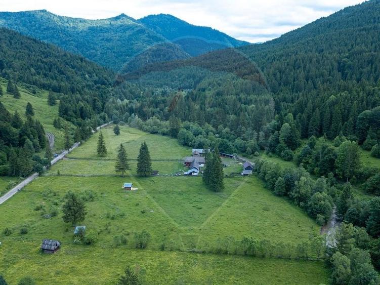 Ferma de vanzare, teren 21436 mp intravilan, Cosnea, Agas - 9