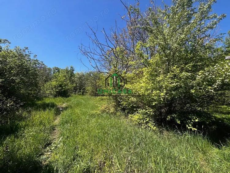 Teren intravilan/934 mp/Lenin Sud - 4