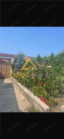 Casa boiereasca Centrul Vechi Baia Mare cu spatiu comercial la parter inchiriat cu 600 euro luna - 18