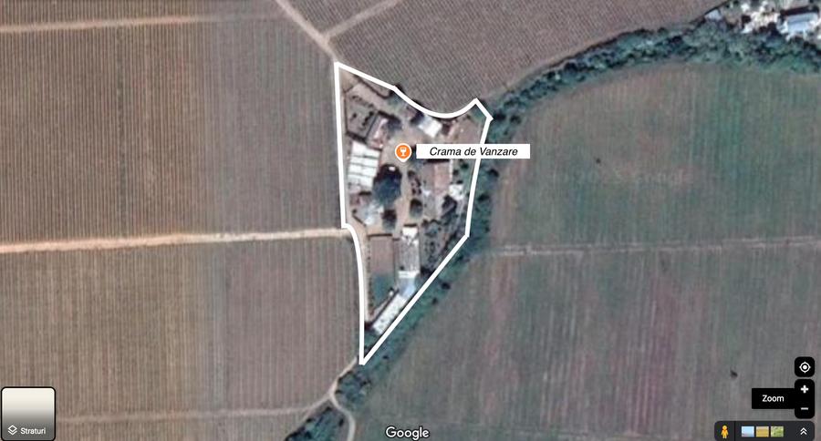 CRAMĂ FUNCȚIONALĂ DE VÂNZARE   ÎN INIMA PODGORIEI ODOBEȘTI (VRANCEA) - 12