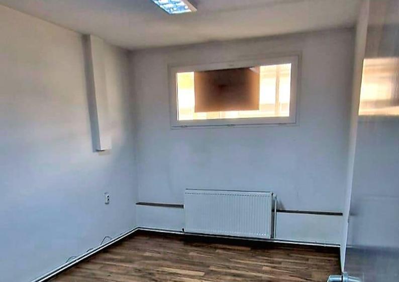 Show room de inchiriat,115 mp sau 320 mp, Zona Lugojului - 5