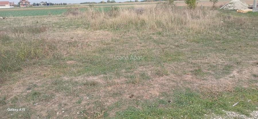 RECO Teren intravilan in Tarian