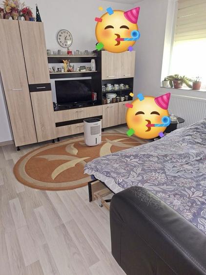 Apartament de vanzare - 5