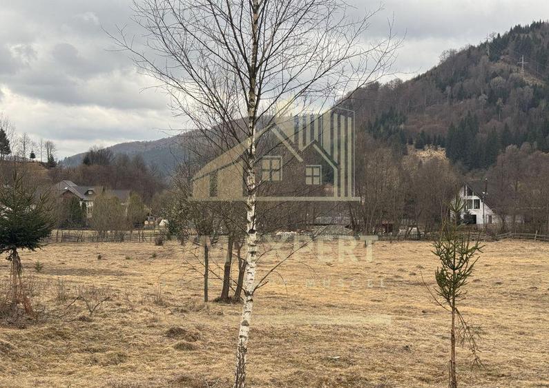 TEREN INTRAVILAN 500 MP SATIC- RUCAR - 12