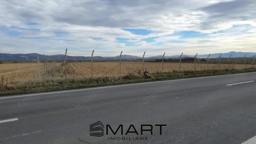 Teren intravilan Calea Feldioarei - 2