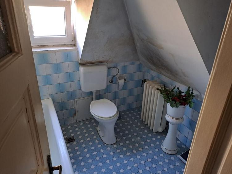 Cotroceni-Parcul Romniceanu, singur curte, garaj, curte generoasa - 9