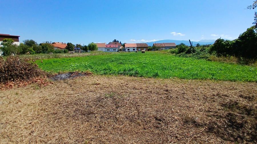 Comision 0 - Casă cu 2 corpuri, Calea Severinului, Caransebeș - 6