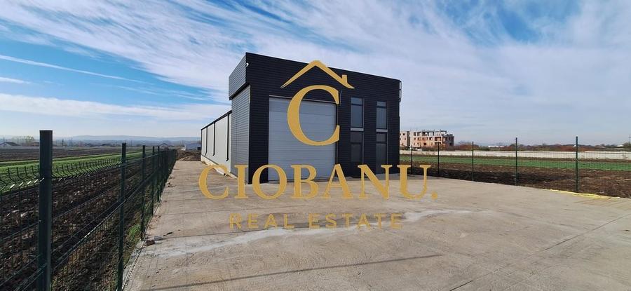 Hala de vanzare in Racari de Jos - 16