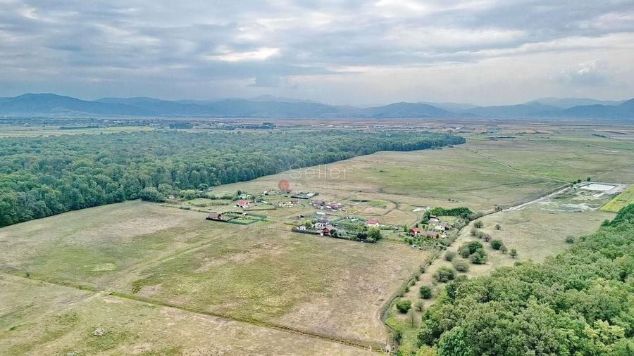 Teren Extravilan - 5