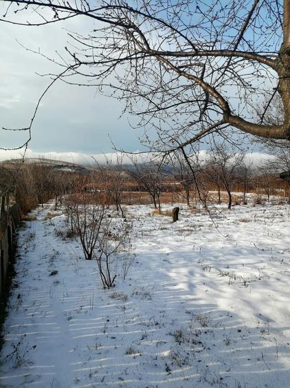 Teren intravilan Jugureni - Prahova - 4