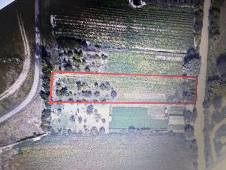 Teren de vanzare cartier ZOO - 2