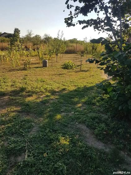 Casa traditionala 3 camere + curte generoasa Merei pret negociabil - 1