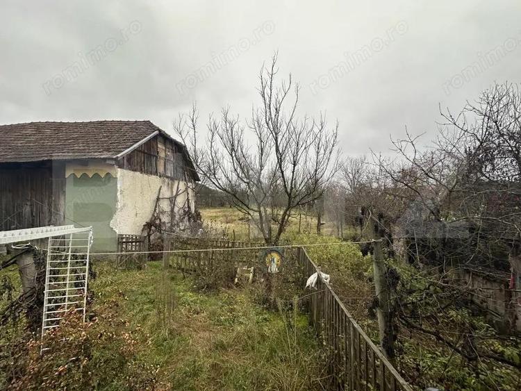 Teren 3000 mp + 2 case de vanzare-Ca?eiu - 16