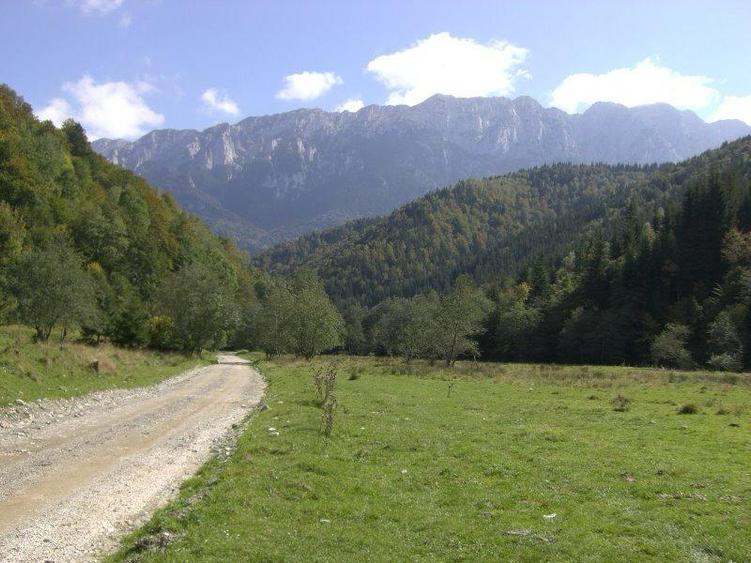 Teren Barsa lui Bucur, Plaiul Foii, Zarnesti - 2