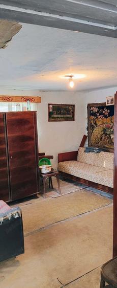 De vinzare casa la tara sat Jichisul de sus - 2