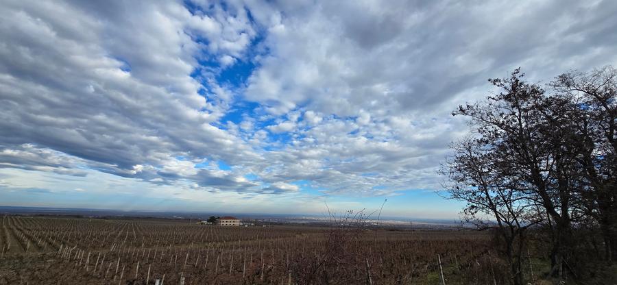 Casa de vanzare  , satul Beciu -Odobesti - 37
