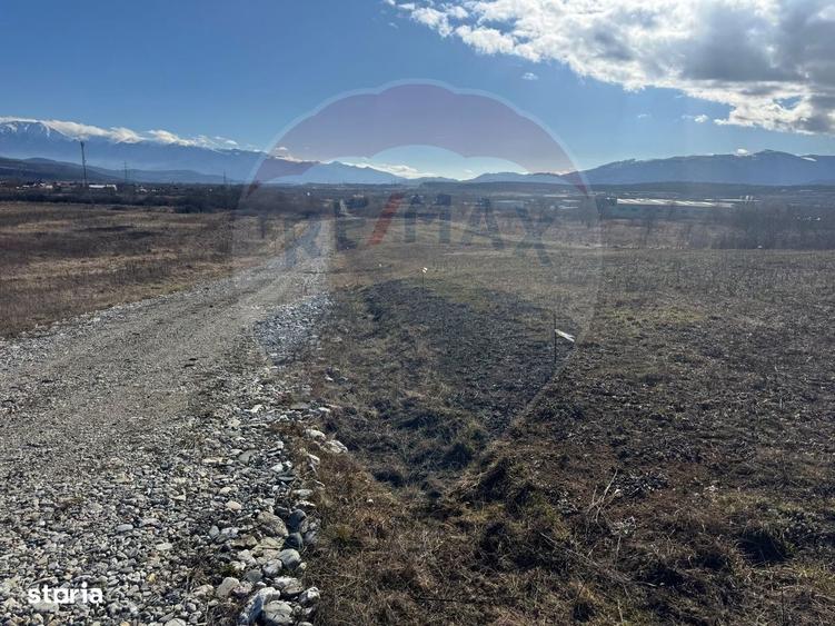 Teren Intravilan cu PUZ Aprobat ?i Vedere Panoramica Selimbar/Mohu - 2