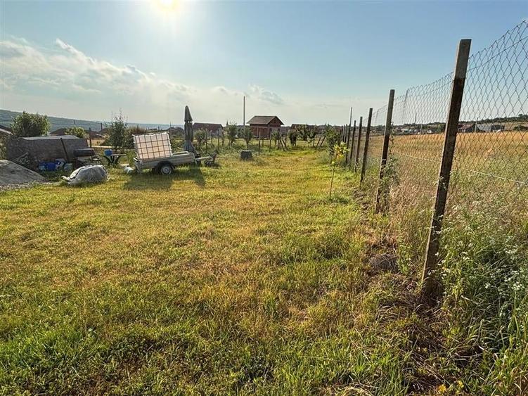 RECO Teren intravilan Betfia - 3