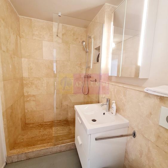 Inchiriere apartament de 2 camere in Piata Alba Iulia - 6