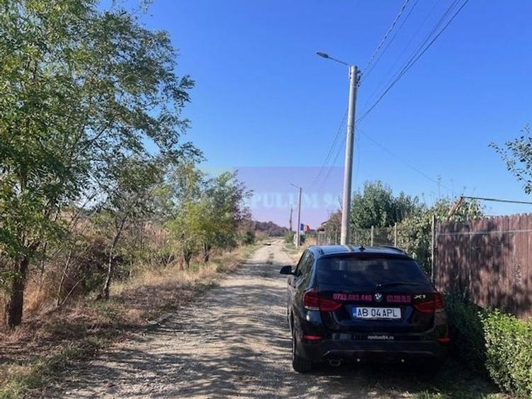 Teren Cornetu Strada Magnoliei- Pinului. - 1