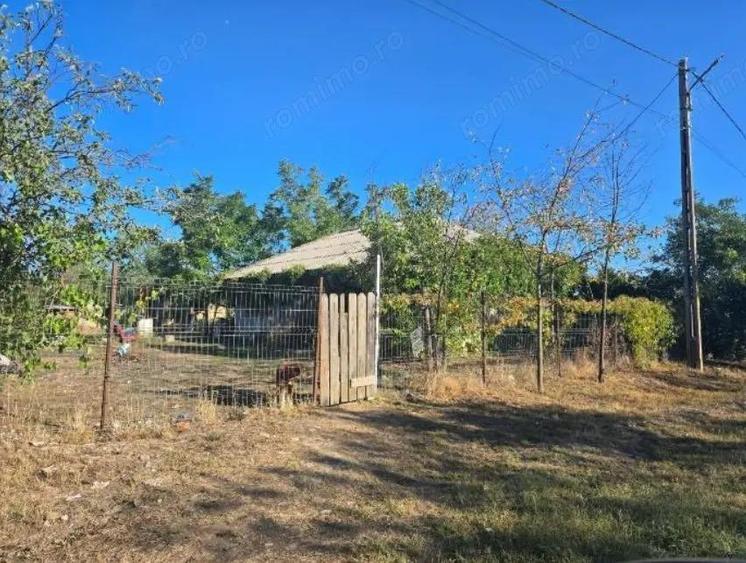 Casa si teren-Com Tamadau Mare, jud. Calarasi - 2