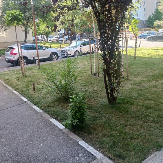 Pantelimon- Parcul Florilor, apartament 3 camere de vanzare - 14