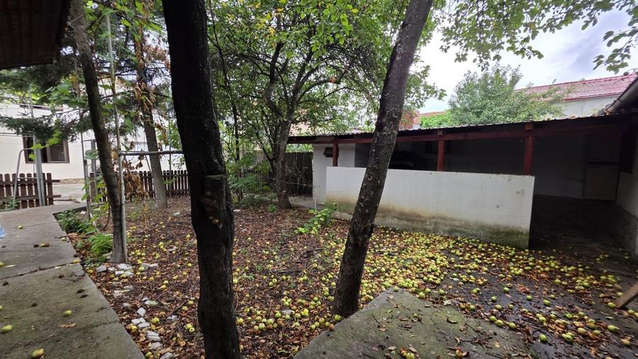 Casa singur curte Orasul Pantelimon - teren 432 mp - 6