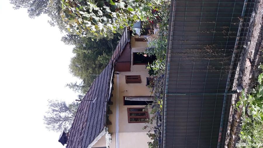 La vanzare doua case locuibile ?i teren 1000 de mp in com. Pietrari, jude?ul Valcea . - 5