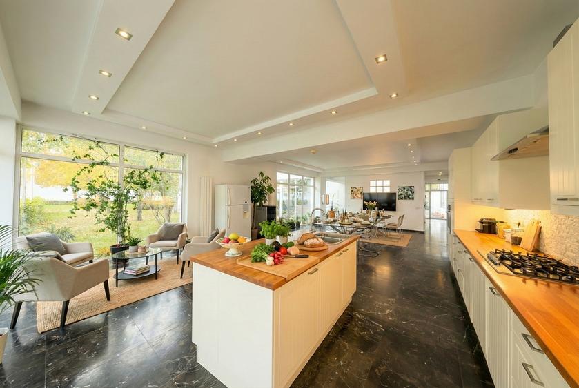 Afumati Concept Belgian Bucuresti Nord-Est -Codrul Vlasiei Conac Modern - 15