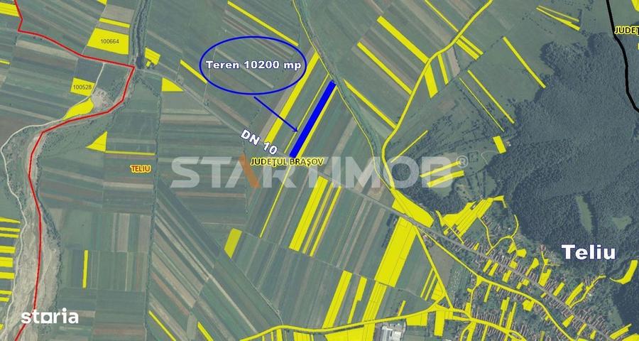 Teren cu front la DN 10 Teliu - 4